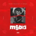 Mgbidi Cover Art