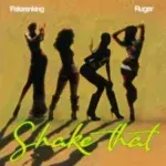 Shake That Cover Art