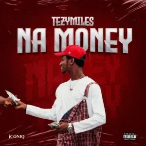 Tezymiles – Na Money