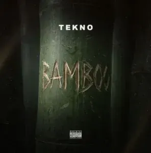 Bamboo Lyrics by Tekno