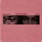 Cry On You Lyrics by Mannywellz & Odeal