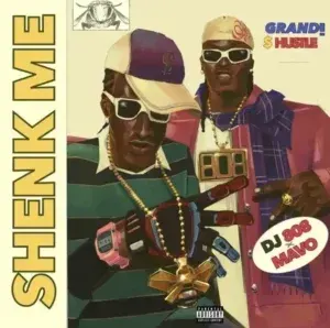 Shenk Me Lyrics by DJ 808 & Mavo